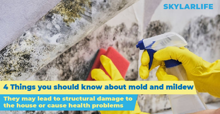 4 Things you should know about mold stain and mildew stain